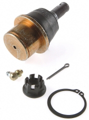 Kugelgelenk Unten - Ball Joint Lower  F150  04-08